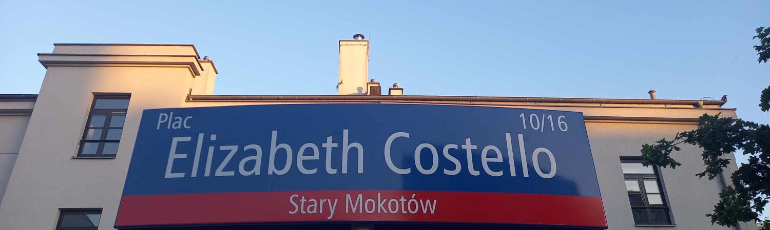 Coetzee, Costello – fikcja i&nbsp;nadzieja